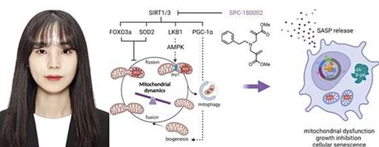 약학부 대학원 조예나 학생 “Free Radical Biology & Medicine”논문 게재