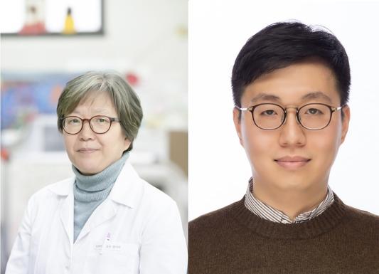 약학부 양미희, 강교빈 교수, 세계 상위 2% 연구자에 선정